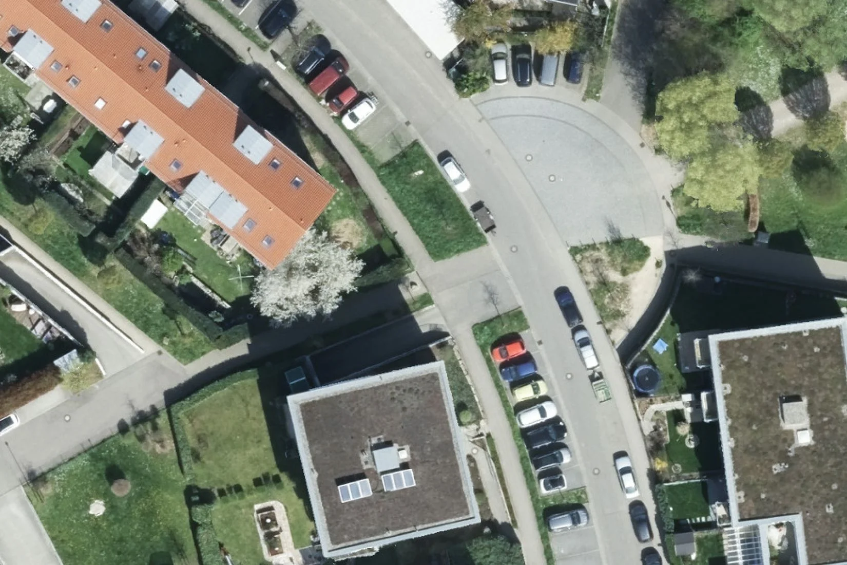 Orthophoto/True Orthophoto